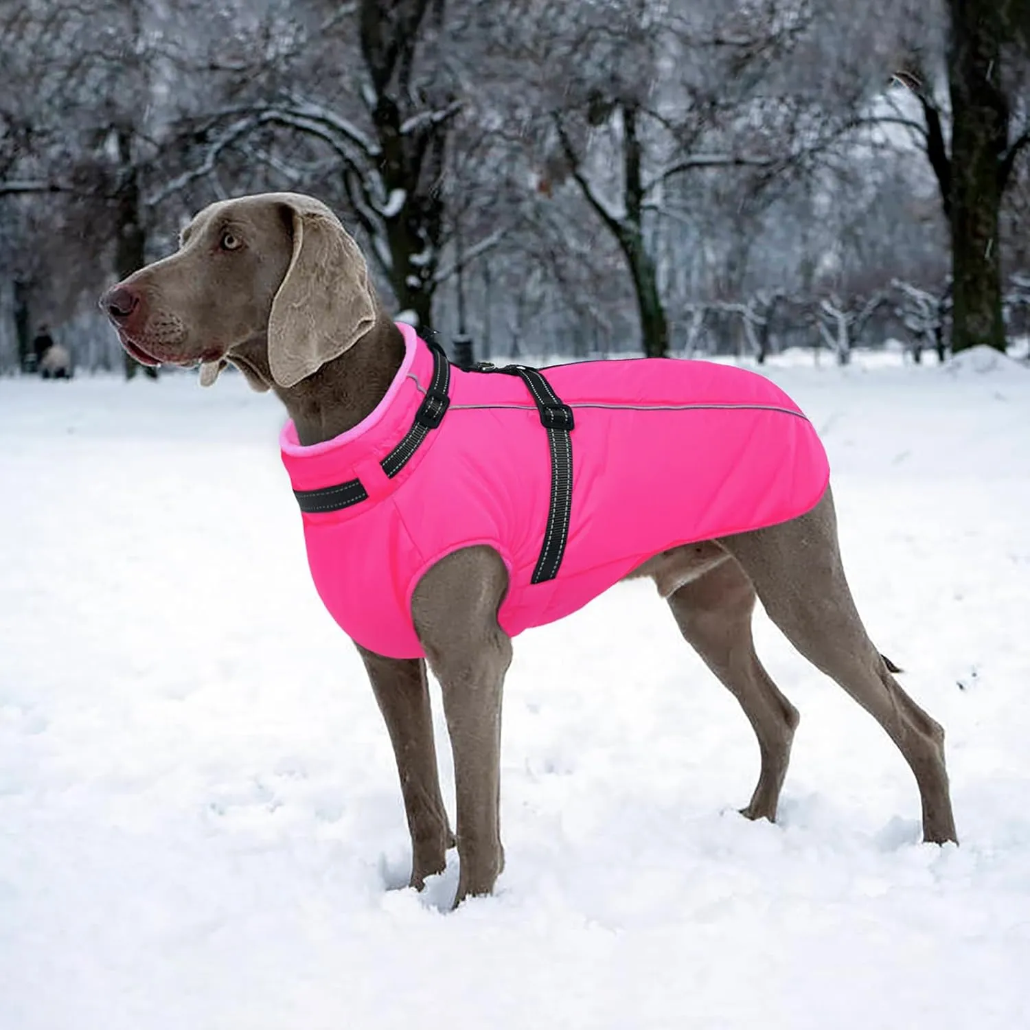 Lelepet Waterproof Dog Jacket with Back Zipper & Harness - Warm Reflective Winter Coat for Small Medium Large Dogs - Thick Fleece Lined Puppy Vest for Outdoor Walking Running, Hiking, Rose Red, XS
