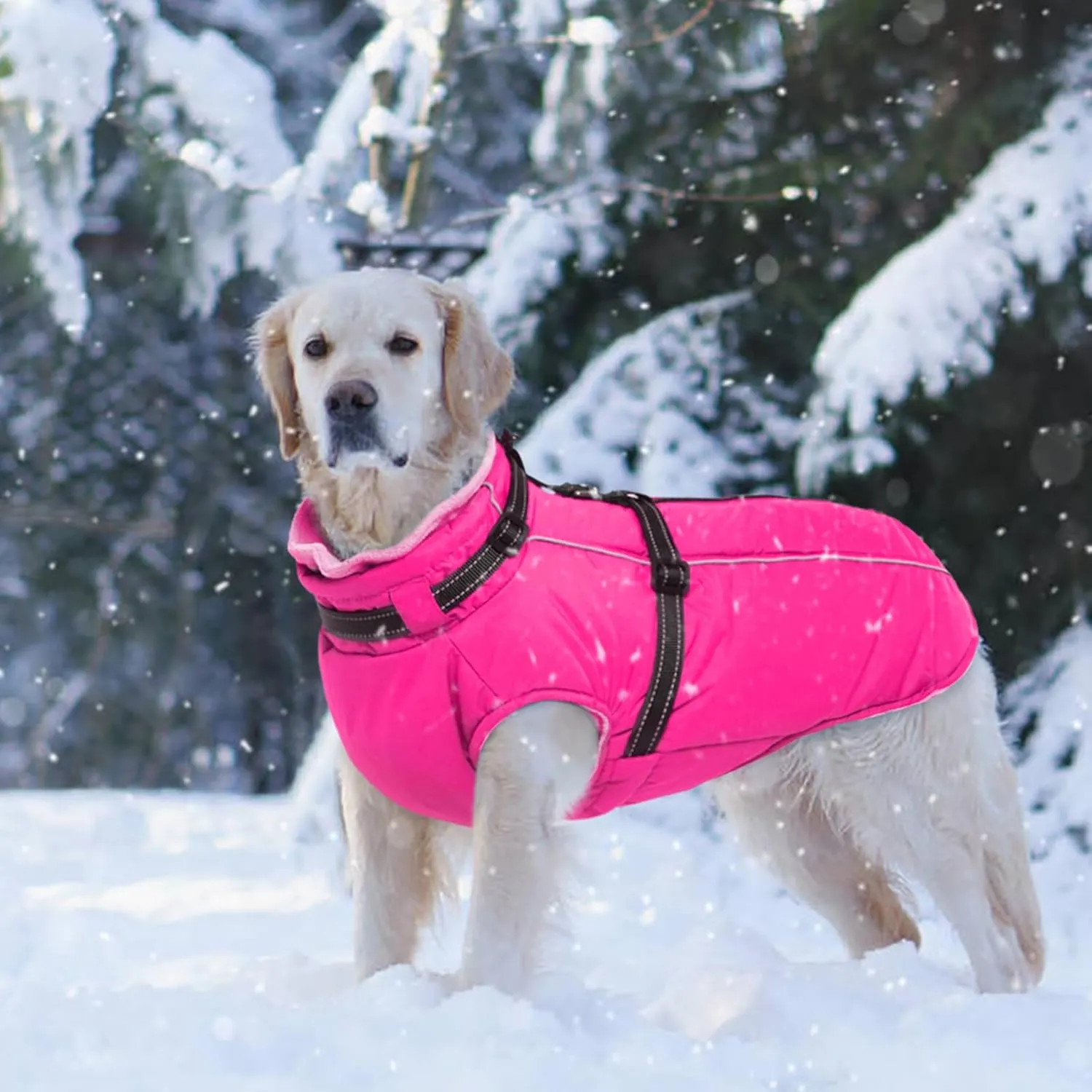 Lelepet Waterproof Dog Jacket with Back Zipper & Harness - Warm Reflective Winter Coat for Small Medium Large Dogs - Thick Fleece Lined Puppy Vest for Outdoor Walking Running, Hiking, Rose Red, XS