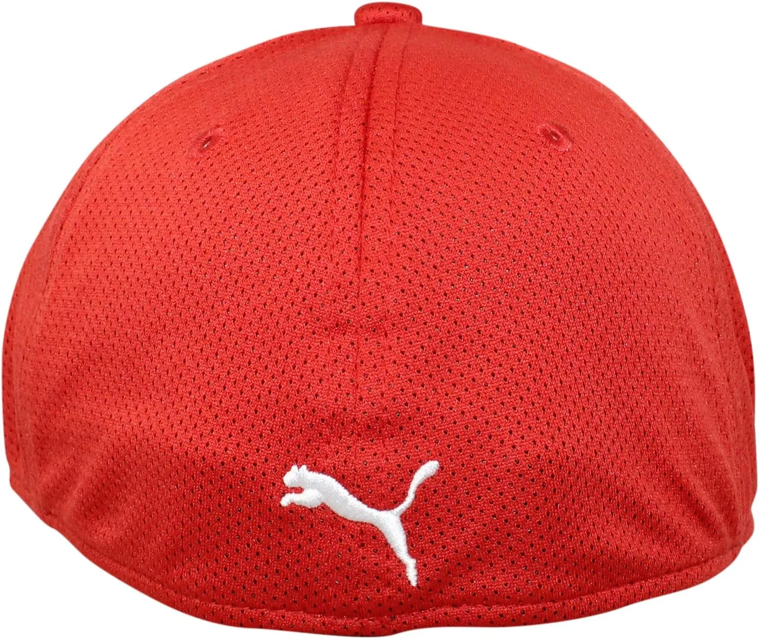 PUMA Evercat 