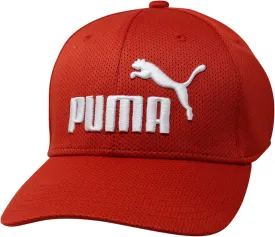 PUMA Evercat 